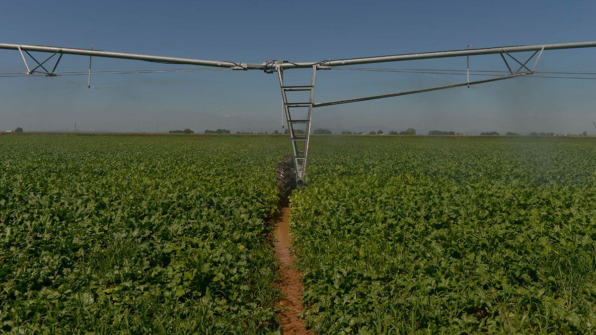 Imagen de archivo de un pivot de riego de una finca en León. | MAURICIO PEÑA