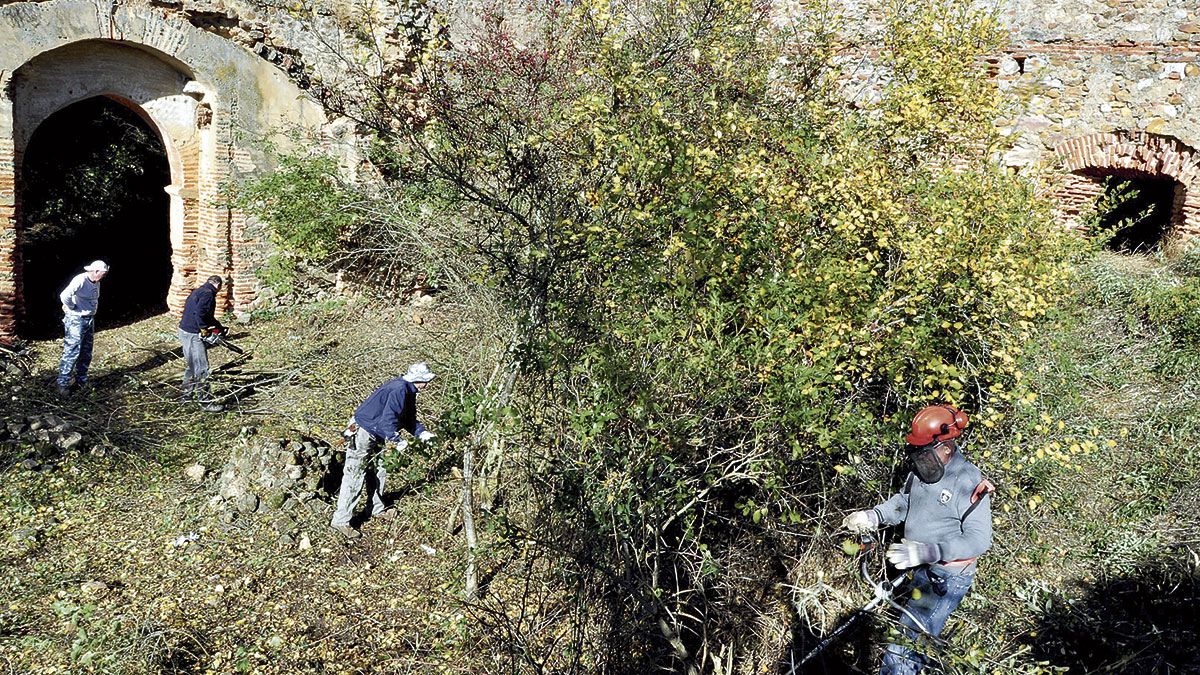 Asistentes a la hacendera de Pro Monumenta desbrozando en el interior de la iglesia. . Asistentes a la hacendera de Pro Monumenta desbrozando en el interior de la iglesia. .