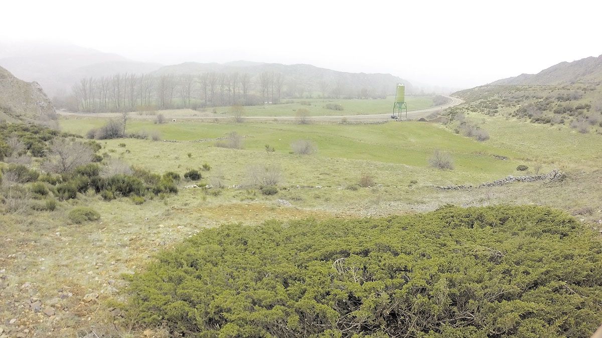 El Bosque de Edilio se ubica en una finca aledaña a la carretera. | L.N.C.