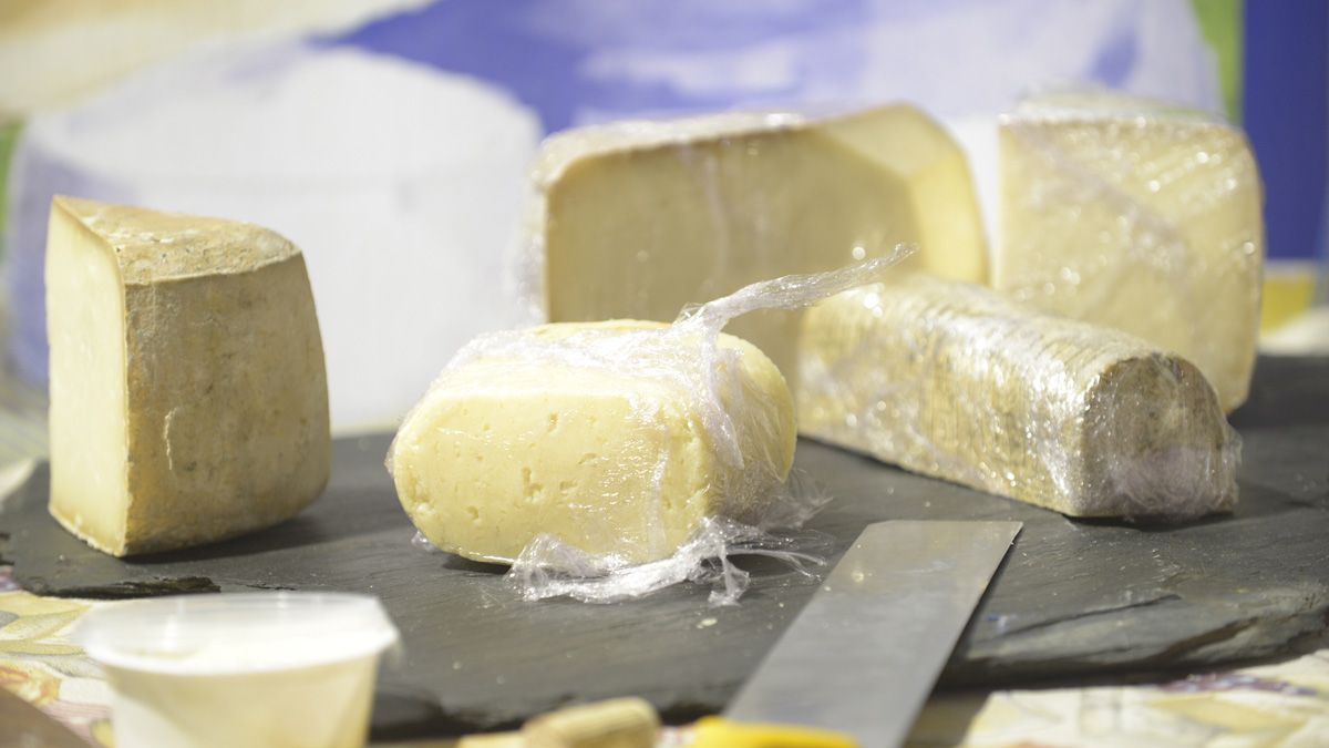 Los quesos de León siguen acumulando reconocimientos. | MAURICIO PEÑA