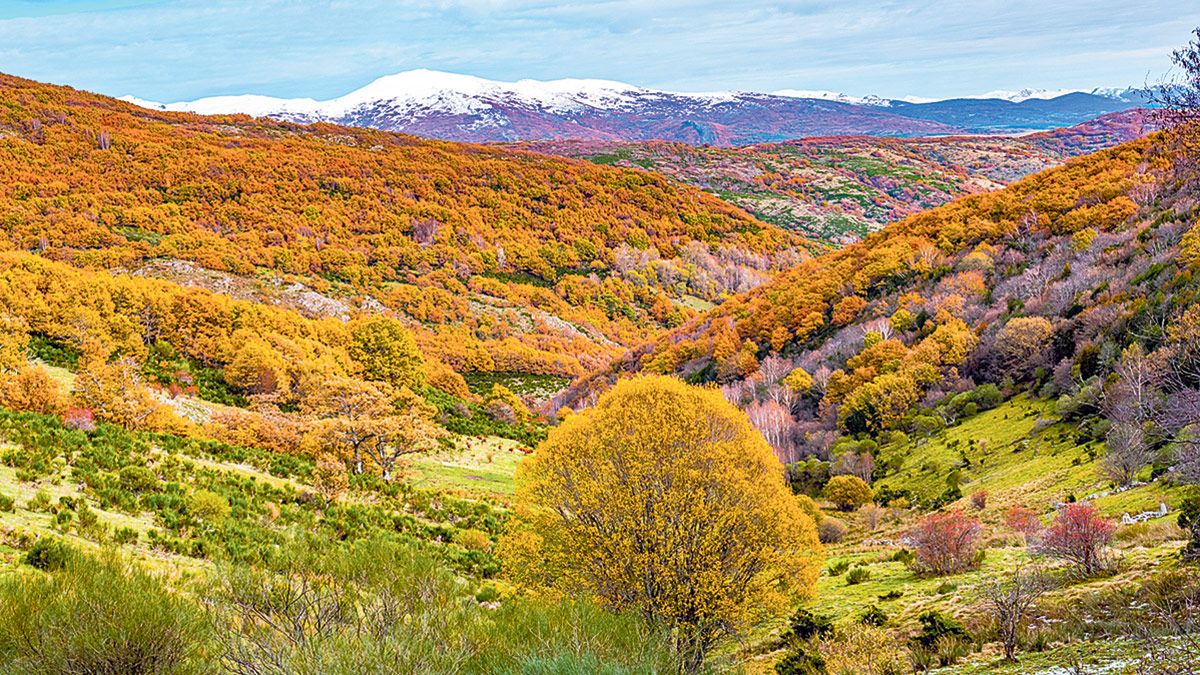 El valle del arroyo del Acebal. | VICENTE GARCÍA