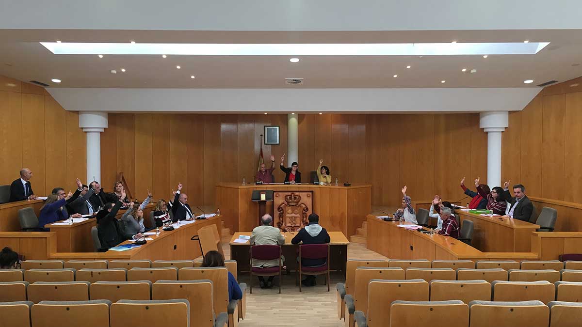 Un momento del pleno extraordinario celebrado este miércoles en el Ayuntamiento de San Andrés del Rabanedo. | L.N.C.