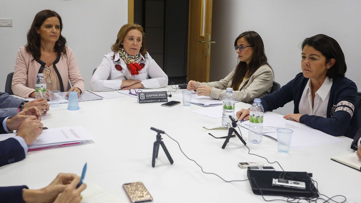 Un momento de la sesión de la comisión de este miércoles. | ICAL