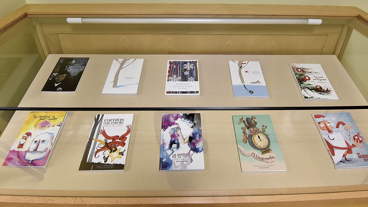Los diez libros del proyecto cultural ‘Contamos la Navidad’ que se exponen en la Biblioteca Pública. | SAÚL ARÉN