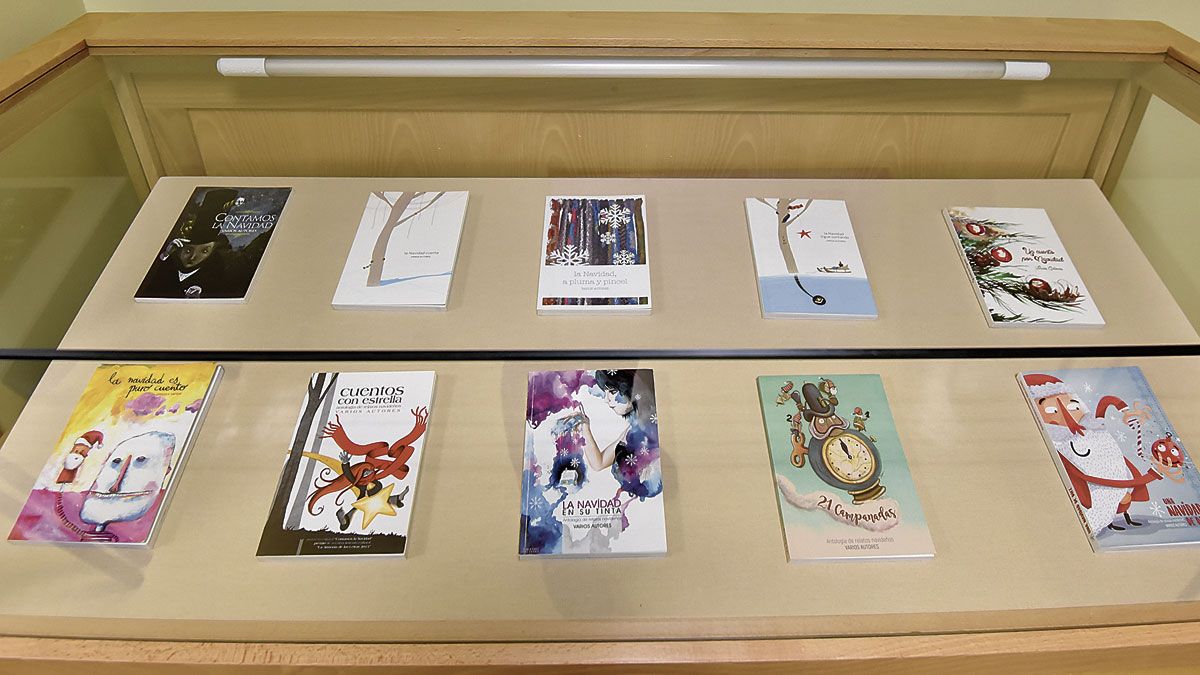 Los diez libros del proyecto cultural ‘Contamos la Navidad’ que se exponen en la Biblioteca Pública. | SAÚL ARÉN Los diez libros del proyecto cultural ‘Contamos la Navidad’ que se exponen en la Biblioteca Pública. | SAÚL ARÉN