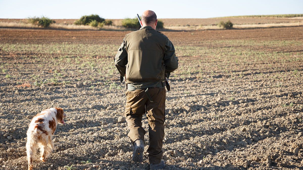 Un cazador de la localidad zamorana de Entrala durante el inicio de la media veda de caza en Castilla y León. | ICAL