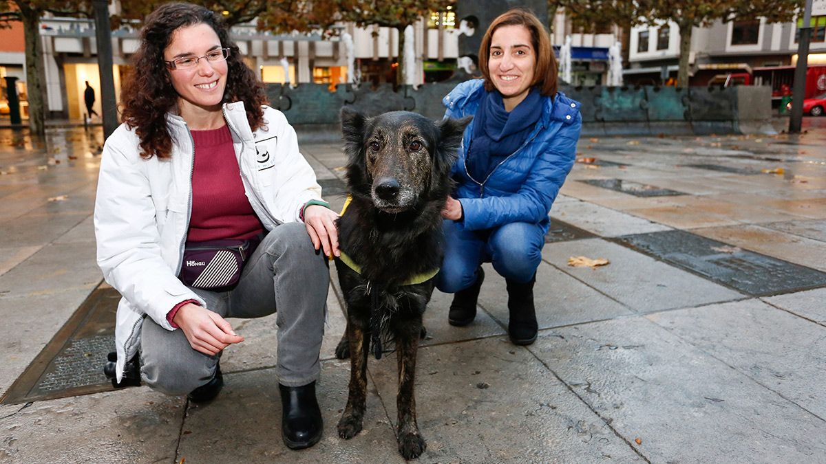 Laura Huerga, guía de perros de terapia en ‘Toma mi pata’, junto a su perra Maggie. | ICAL