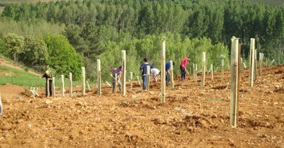 El dinero va a  la restauración de una escombrera en Fabero y al bosque didáctico de Prada