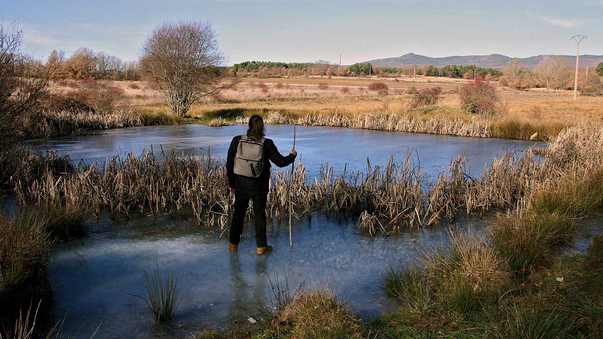 Las bajas temperaturas han dejado heladas numerosas fuentes y lagunas en la provincia de León. | ICAL