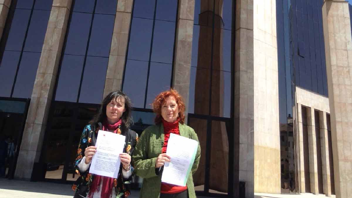 Eloína Terrón, en la Delegación de la Junta para presentar la denuncia. | L.N.C.