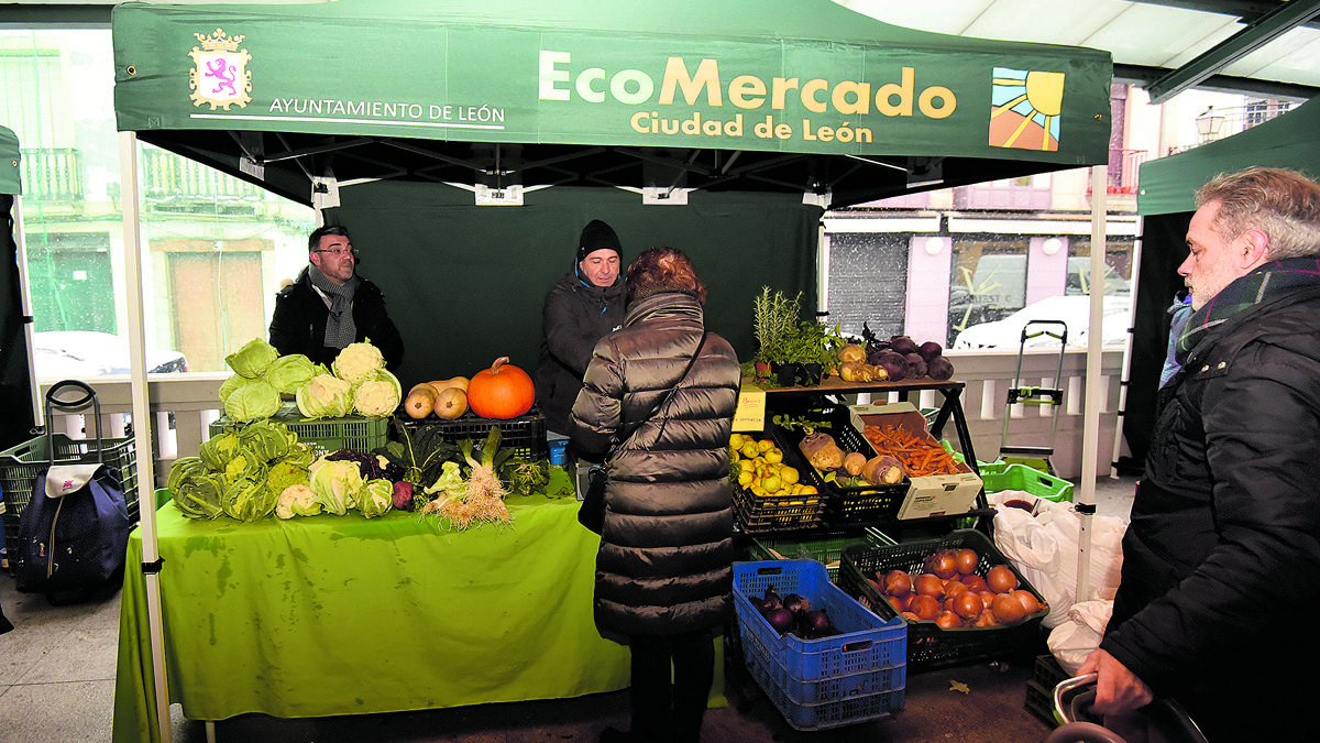 El concejal de Comercio, Pedro Llamas, visitó ayer en Ecomercado y conoció sus nuevas carpas. | SAÚL ARÉN