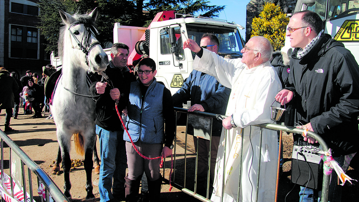 Un caballo ha sido el animal más llamativo de los que este domingo se bendijeron en La Bañeza. | ABAJO
