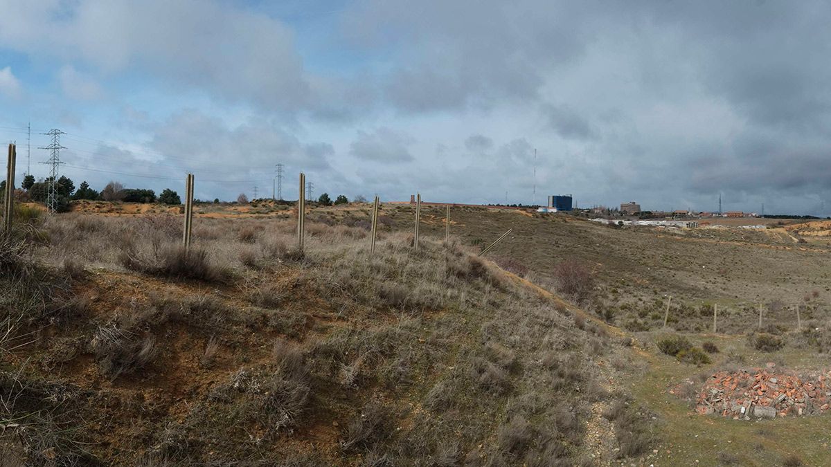 Lugar donde esta proyectada la construcción de la incineradora de biomasa en Villaquilambre. | DANIEL MARTÍN Lugar donde esta proyectada la construcción de la incineradora de biomasa en Villaquilambre. | DANIEL MARTÍN