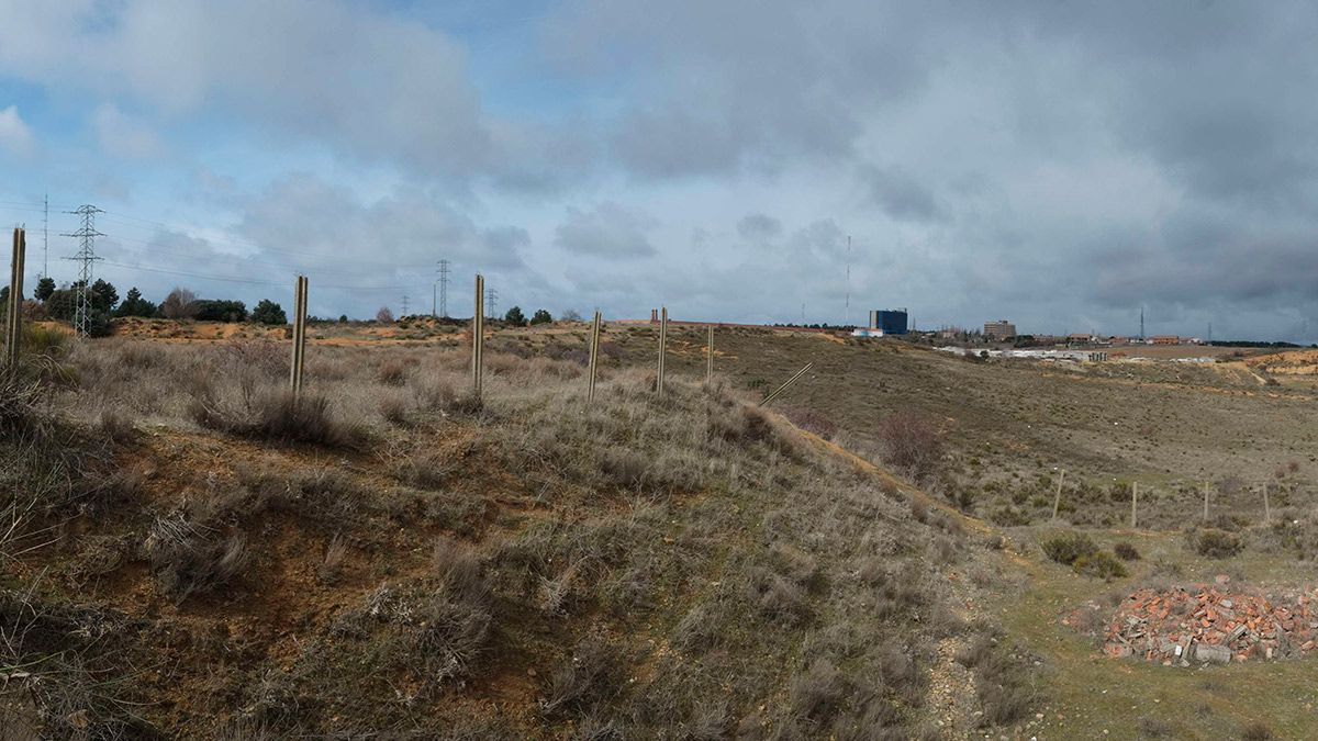 Lugar donde esta proyectada la construcción de la incineradora de biomasa en Villaquilambre. | DANIEL MARTÍN