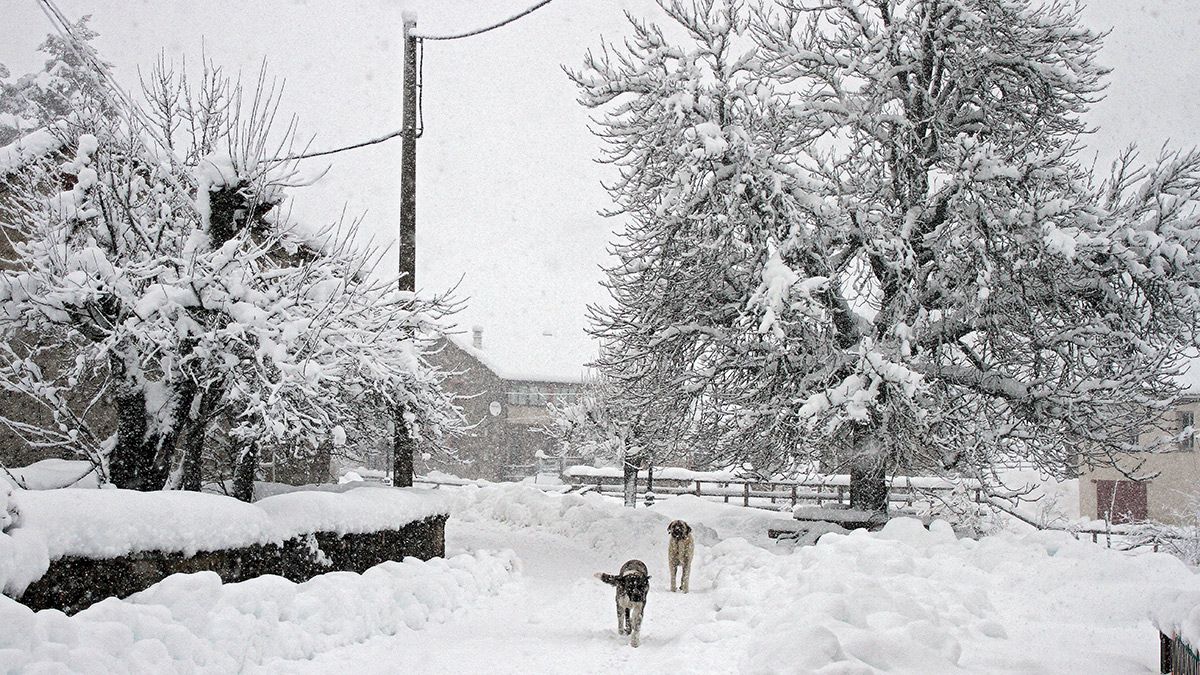 La primera nevada de la temporada cubre la comarca de los Argüellos leoneses. | ICAL