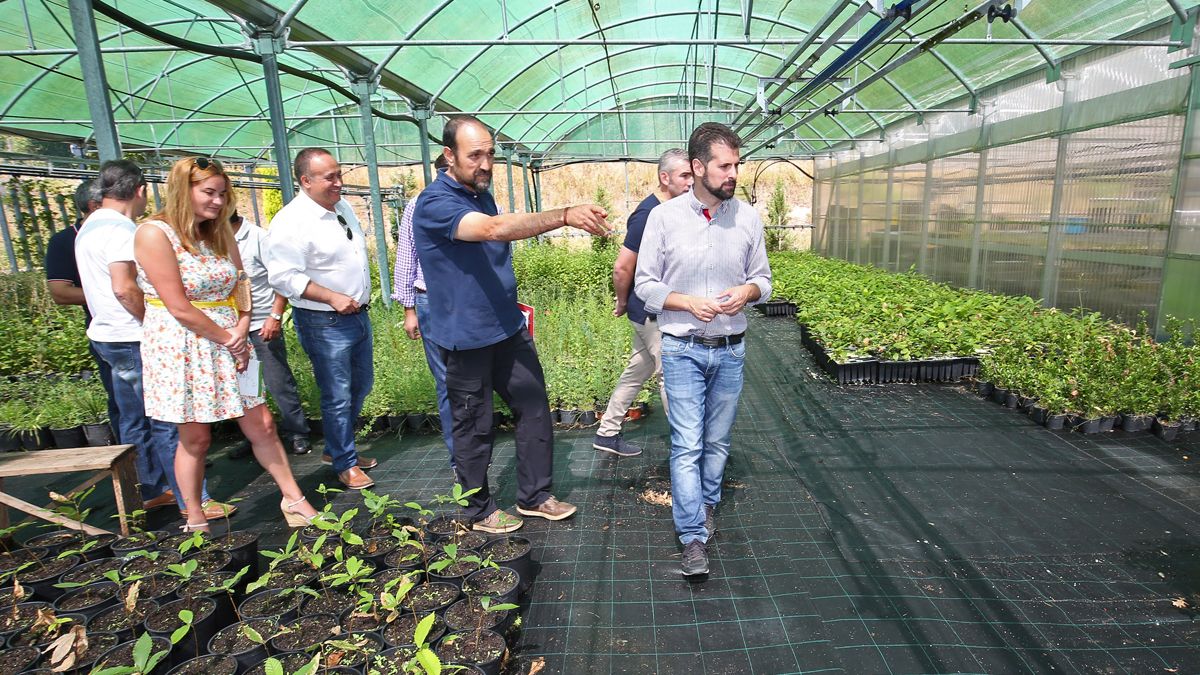 Visita de Luis Tudanca (PSOE) al vivero de Ciuden en Igüeña. | ICAL