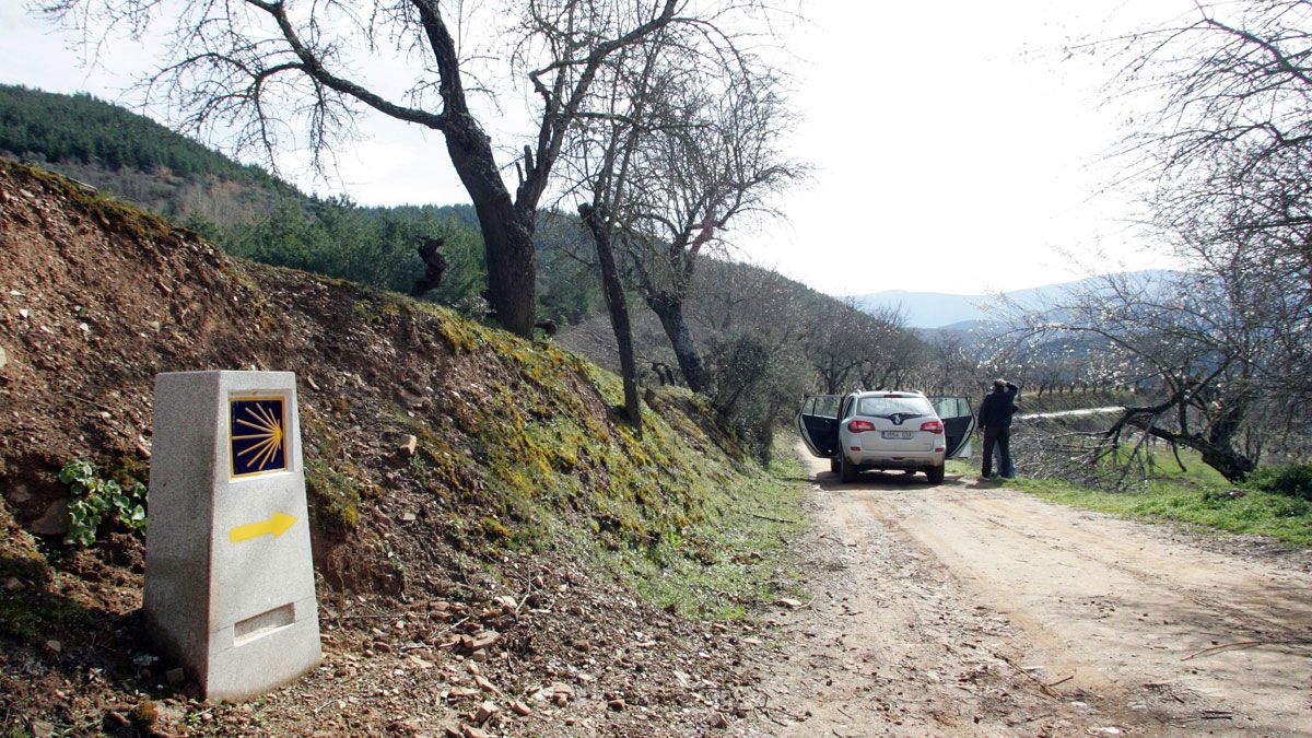 amino de Santiago de Invierno a su paso por Villavieja. | LETICIA PÉREZ (ICAL)