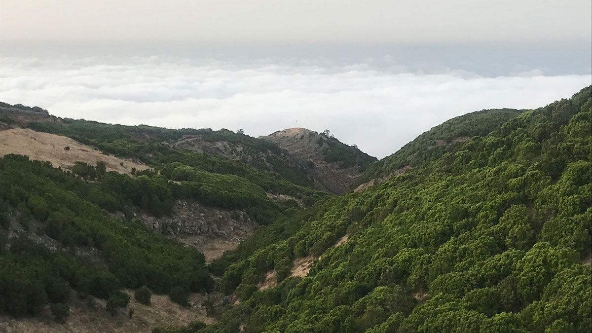 Geoparque de El Hierro, imagen de archivo. | ALICIA SATURNA