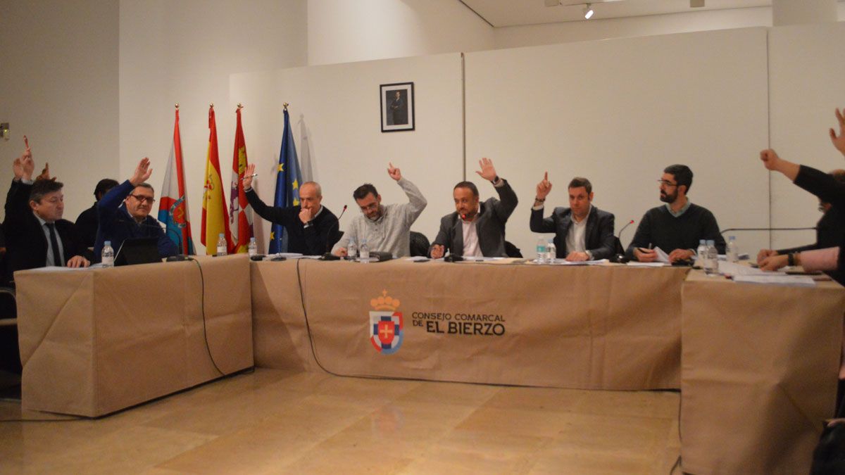 Pleno del Consejo Comarcal celebrado ayer en Ponferrada. | A. CARDENAL