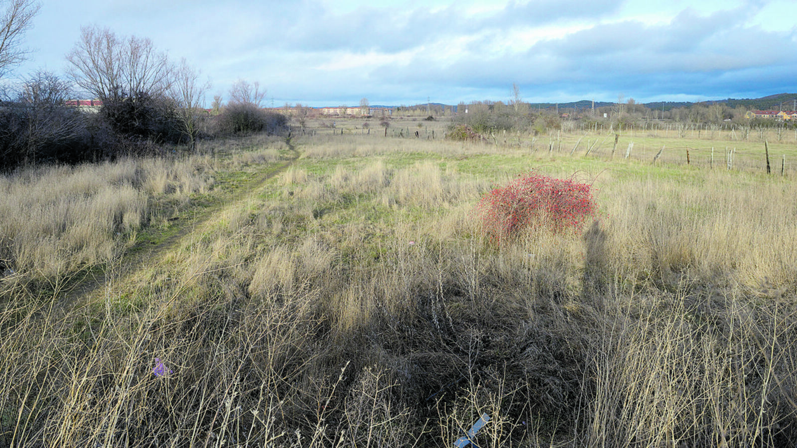 Imagen de los terrenos que se urbanizarán para construir 1.475 viviendas y un gran centro comercial. | MAURICIO PEÑA