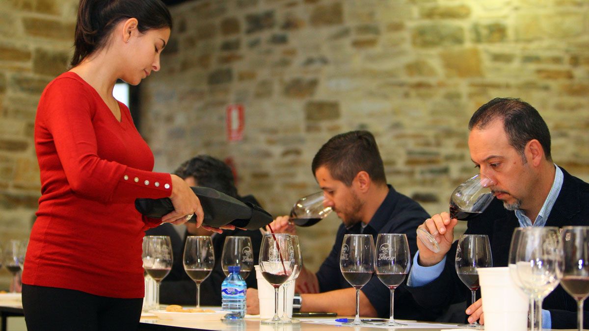Cata de vinos de la Denominación de Origen Bierzo. | C. Sánchez (Ical)