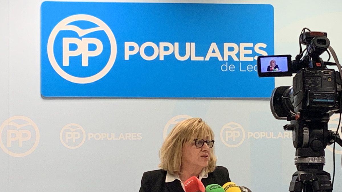 Pereda ha explicado los principales aspectos de desencuentro entre el PP y las cuentas de Sánchez. | L.N.C.