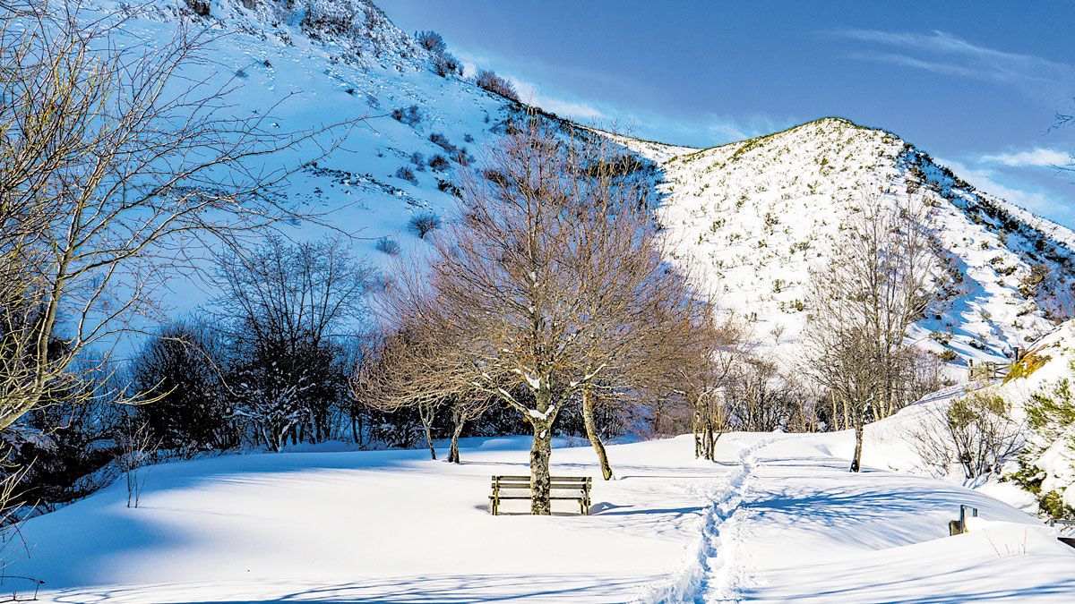 La Cervatina es una gran opción para las raquetas de nieve. | VICENTE GARCÍA