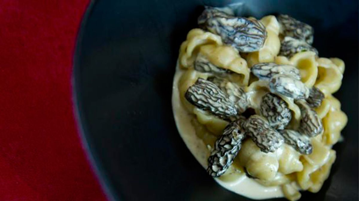 plato-colmenillas-20219.jpg plato-colmenillas-20219.jpg