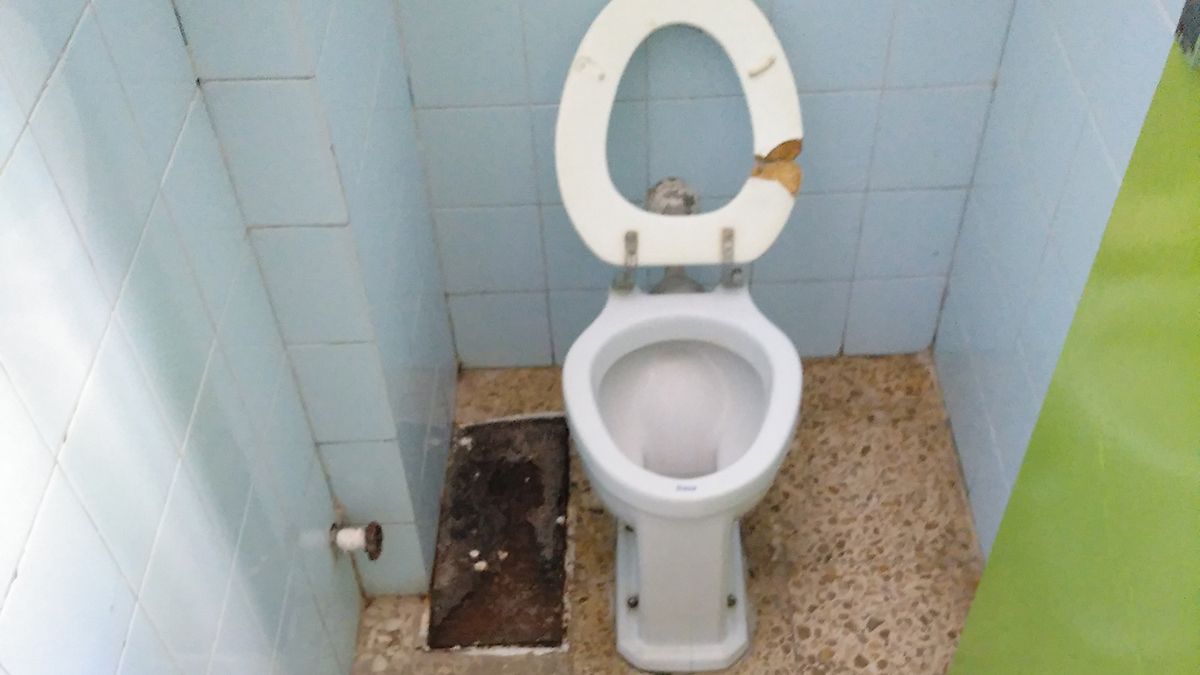 Estado de uno de los baños del colegio Teodoro Martínez Gadañón. | L.N.C.