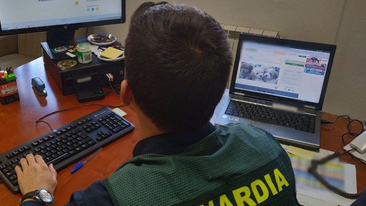 Imagen de la investigación cedida por la Guardia Civil.