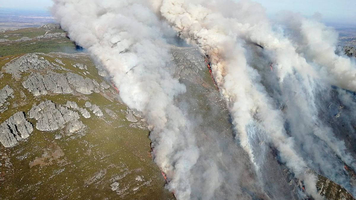 Imagen compartida en las redes sociales por el Brif de Tabuyo, inspeccionando la zona del incendio. | @briftabuyo Imagen compartida en las redes sociales por el Brif de Tabuyo, inspeccionando la zona del incendio. | @briftabuyo