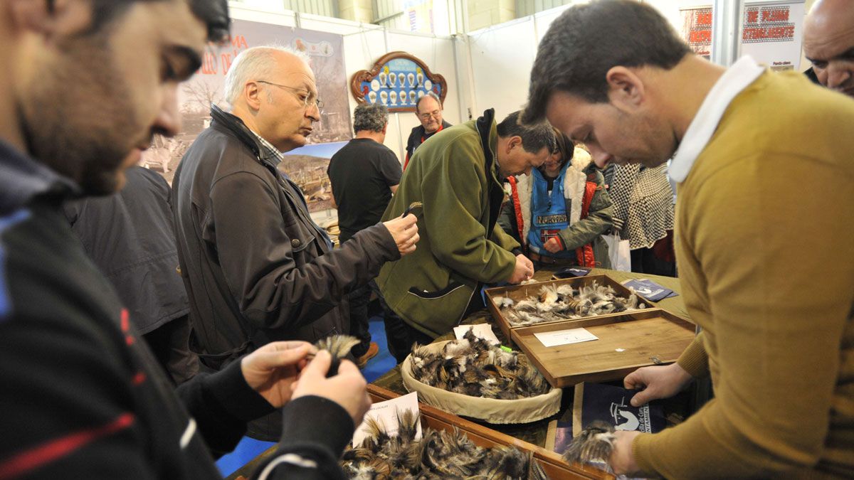 Los aficionados seleccionan plumas en una feria anterior. | DANIEL MARTÍN Los aficionados seleccionan plumas en una feria anterior. | DANIEL MARTÍN