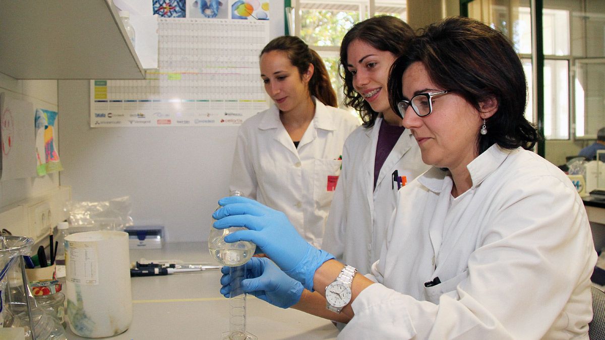 Las mujeres van abriéndose camino tanto en la docencia como en la investigación dentro del mundo universitario. ICAL