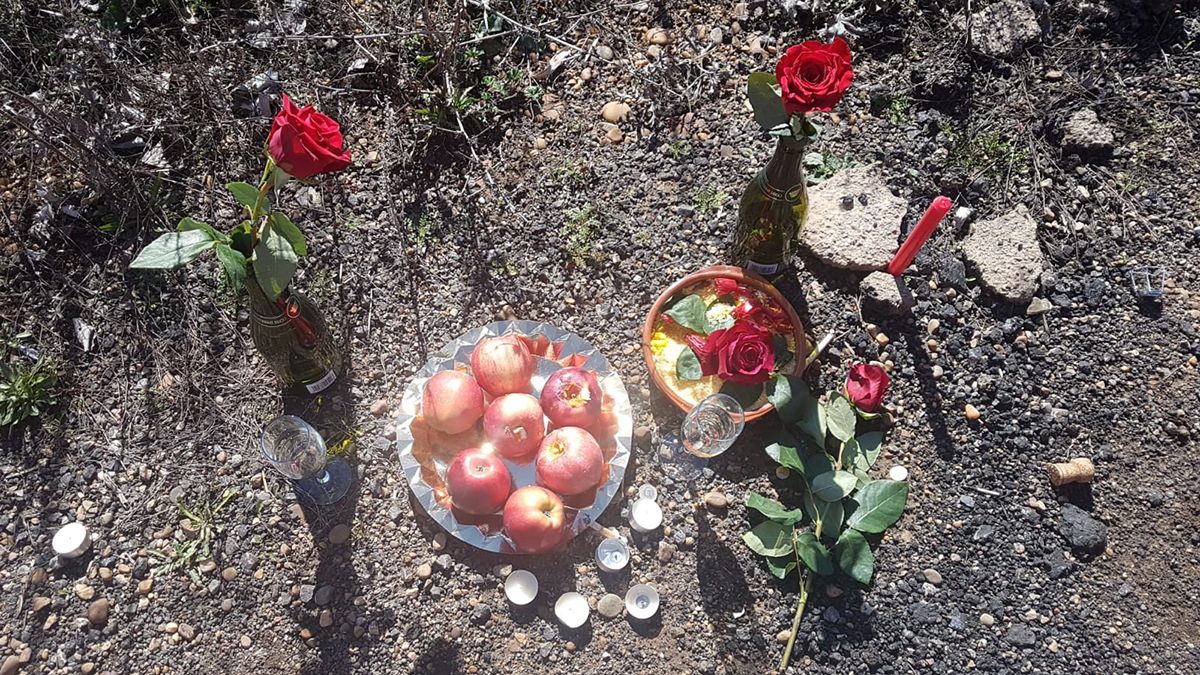 ‘Bodegón’ misterioso que fue hallado este viernes en un camino agrícola de Toral de los Guzmanes. | T.G.