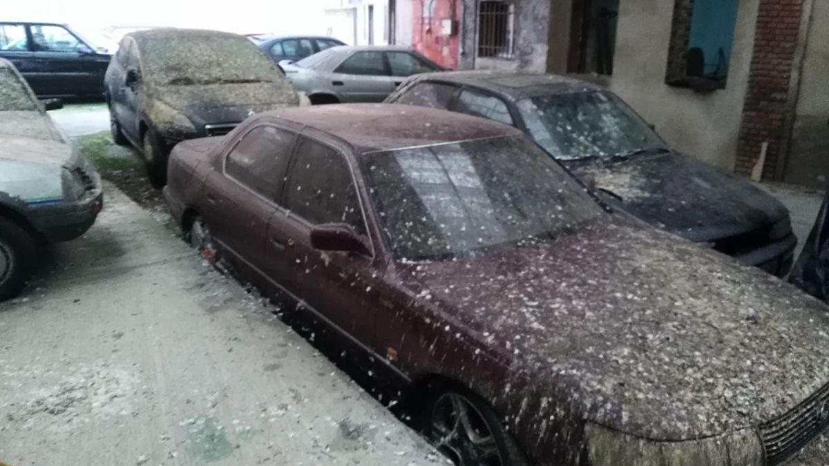 Estado que presentan los coches en Bodegas Cándido. | L.N.C.