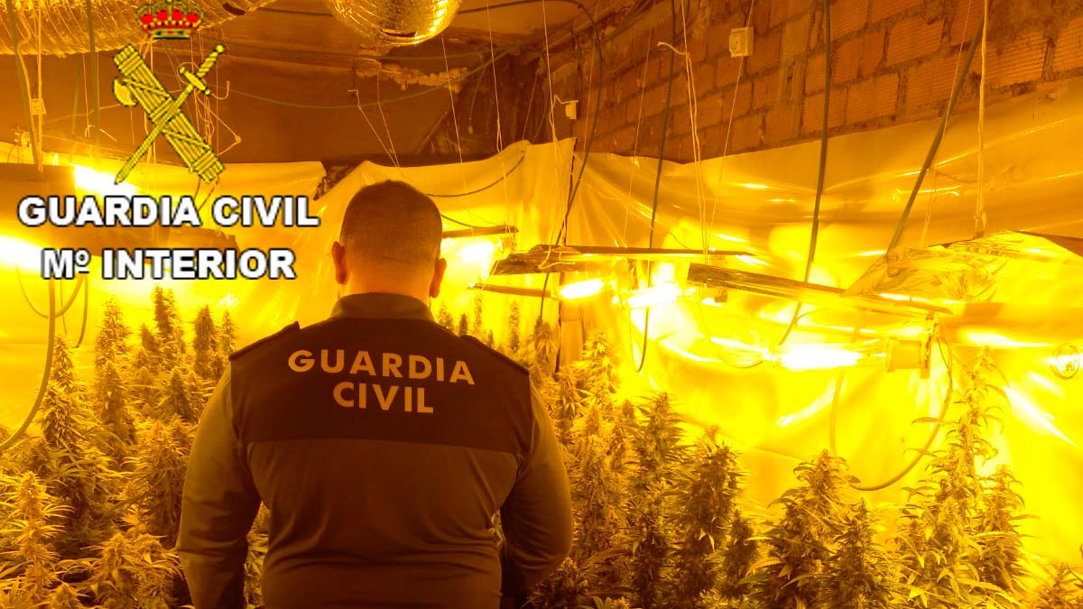 Los agentes encontraron varias instalaciones en las que cultivaban la droga. Los agentes encontraron varias instalaciones en las que cultivaban la droga.