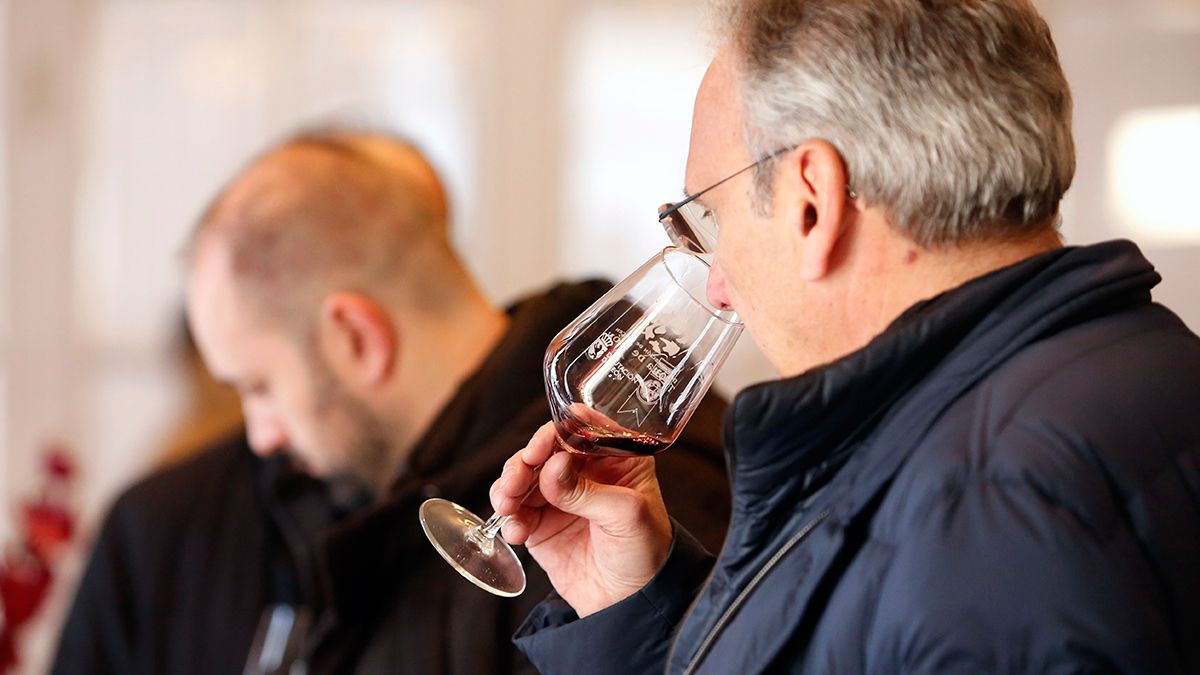 Los vinos serán uno de los grandes protagonistas. 