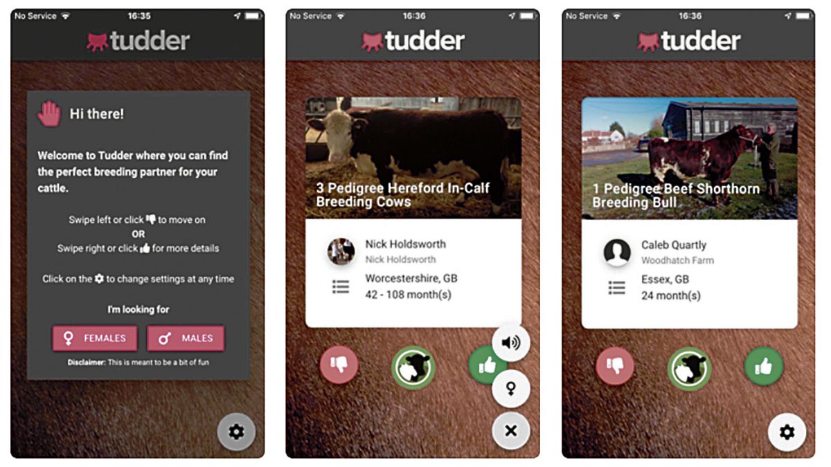 Capturas de pantalla de la aplicación Tudder en la App Store.