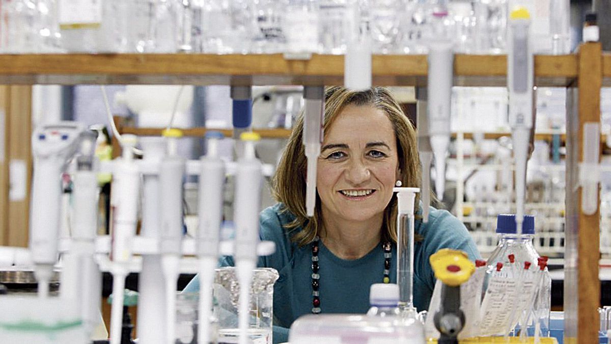 La investigadora leonesa de la Universidad de Santiago de Compostela (USC) encabeza el ránking de ‘influencia’. La investigadora leonesa de la Universidad de Santiago de Compostela (USC) encabeza el ránking de ‘influencia’.