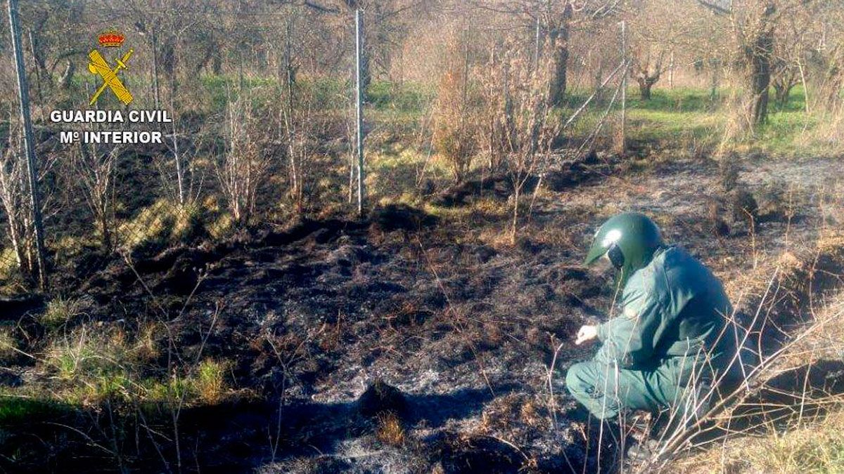 Investigación del incendio de Benuza. | GUARDIA CIVIL