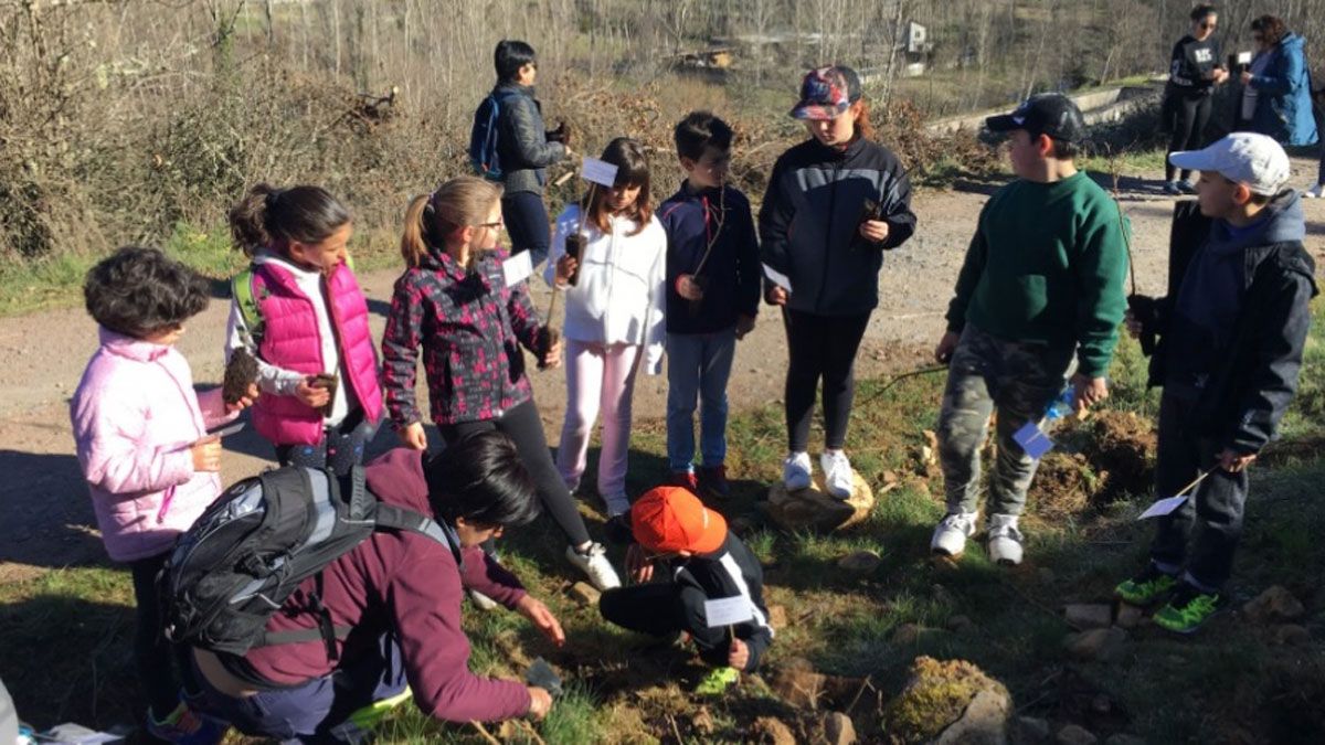 Niños del colegio Piñera participando en una plantación. 