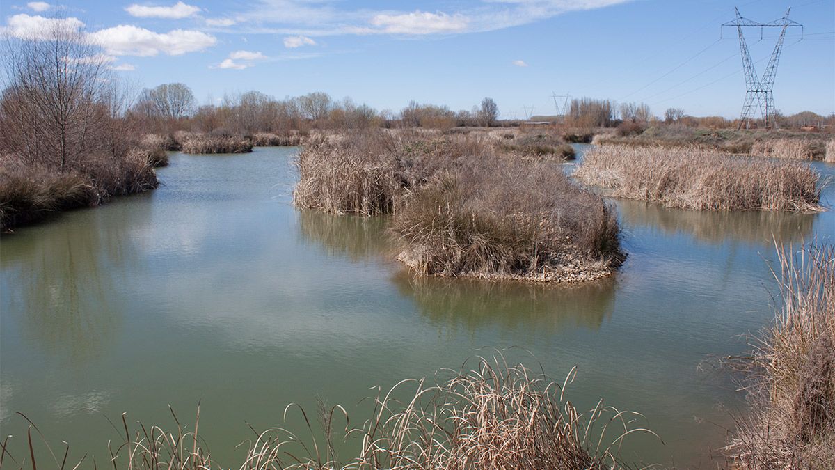 Aspecto actual de la zona que el Ayuntamiento de Valencia de Don Juan ha proyectado acondicionar como lago artificial de pesca y recreo con una subvención de la Junta. | T.G.