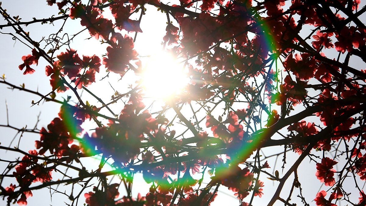 Imagen de archivo de la primavera en León. | L.N.C. Imagen de archivo de la primavera en León. | L.N.C.