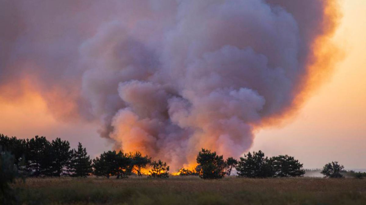 Entre su defensa ambiental está la denuncia de los autores de los incendios.