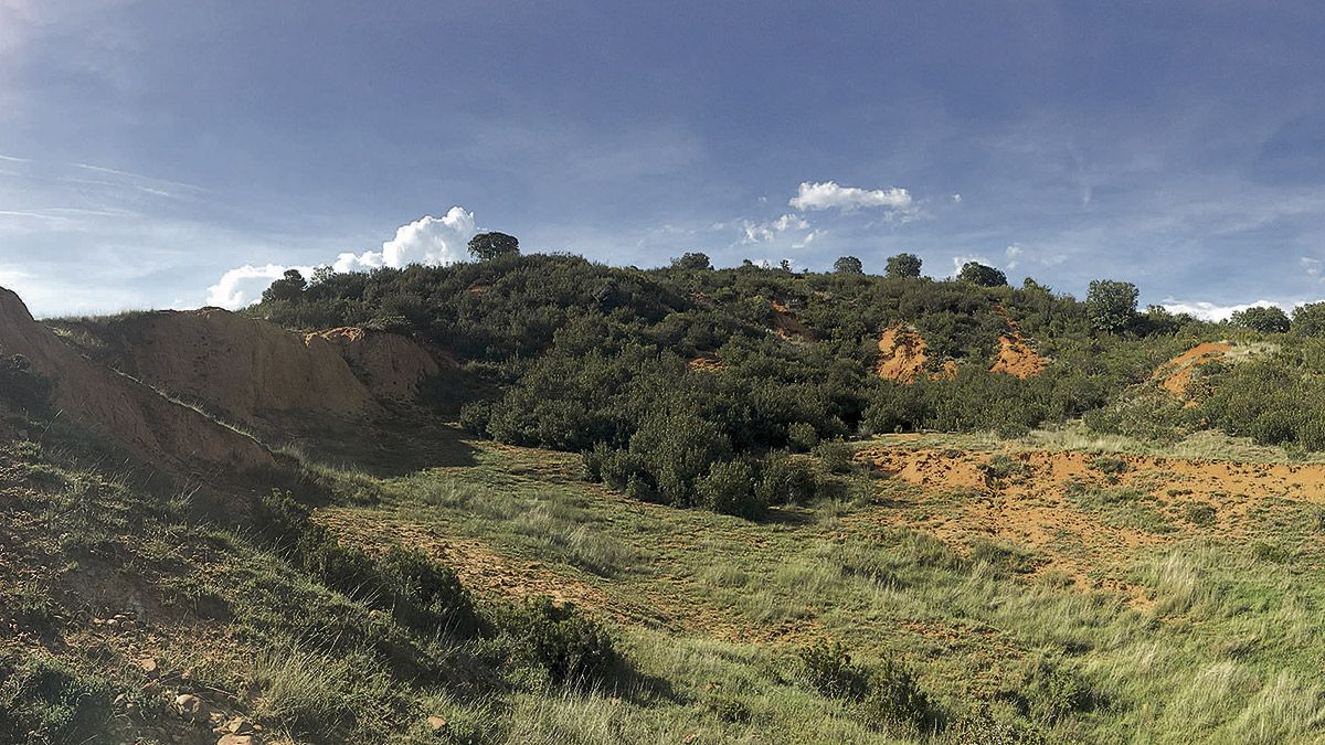 Las especiales características del terreno en la comarca de Jamuz llamó la atención de los investigadores. | J. FERNÁNDEZ LOZANO