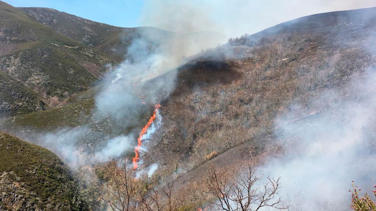 Imagen del incendio forestal en Anllarinos del Sil. | @BRIF TABUYO