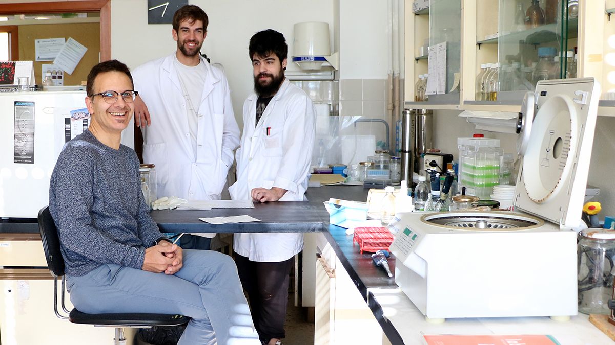 El profesor Luis M. Mateos (I) junto al equipo de investigadores que han descifrado los mecanismos moleculares que regulan el estrés oxidativo en bacterias. | L.N.C.