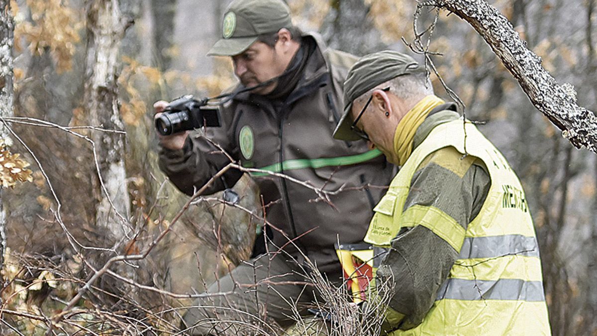 Pesquisas de los agentes medioambientales. | SAÚL ARÉN