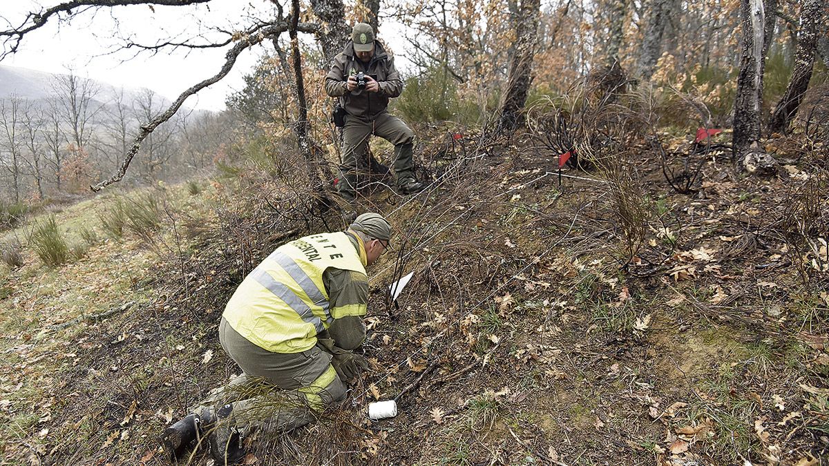 En ocasiones es necesario realizar un tamizado en el área de inicio y revisar milímetro a milímetro. Todos los detalles se documentan fotográficamente. | SAÚL ARÉN En ocasiones es necesario realizar un tamizado en el área de inicio y revisar milímetro a milímetro. Todos los detalles se documentan fotográficamente. | SAÚL ARÉN