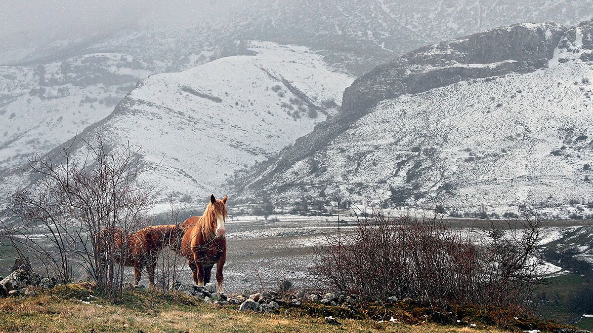 Nieve primaveral en las cumbres de León. | ICAL